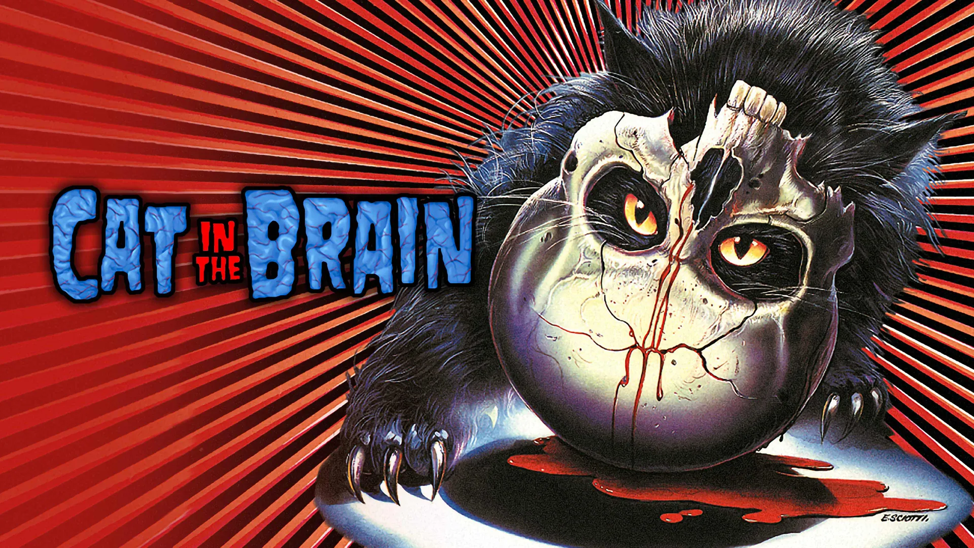 A Cat in the Brain