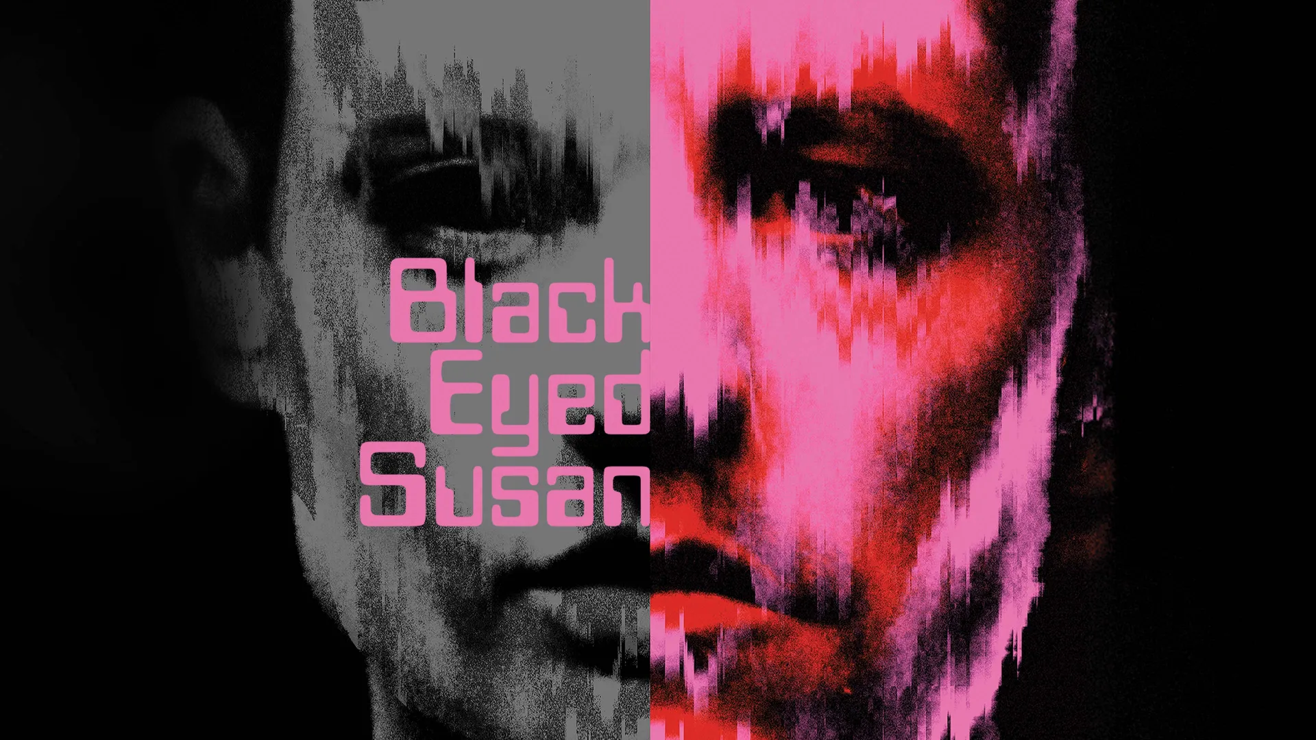 Black Eyed Susan