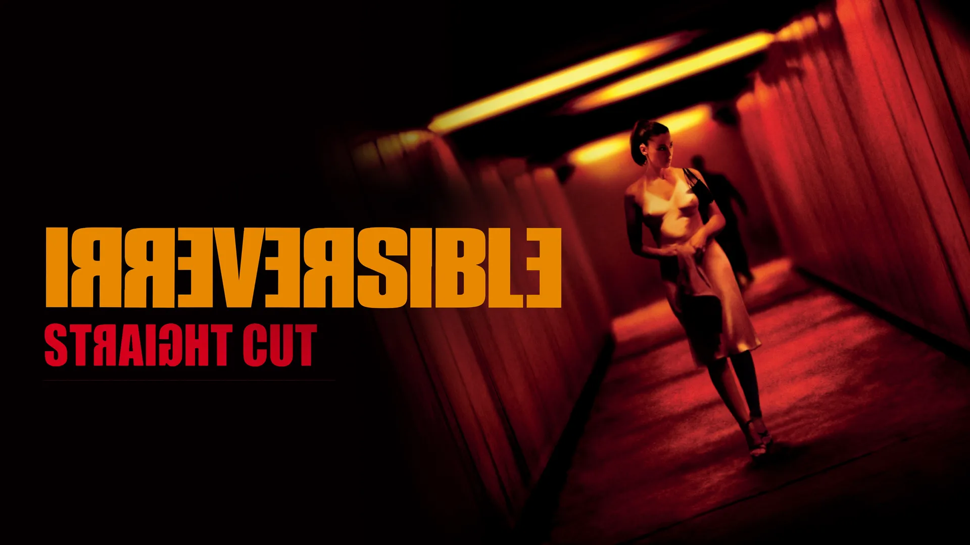 Irreversible The Straight Cut