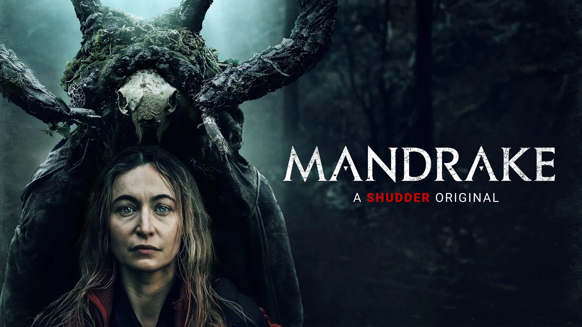 Mandrake