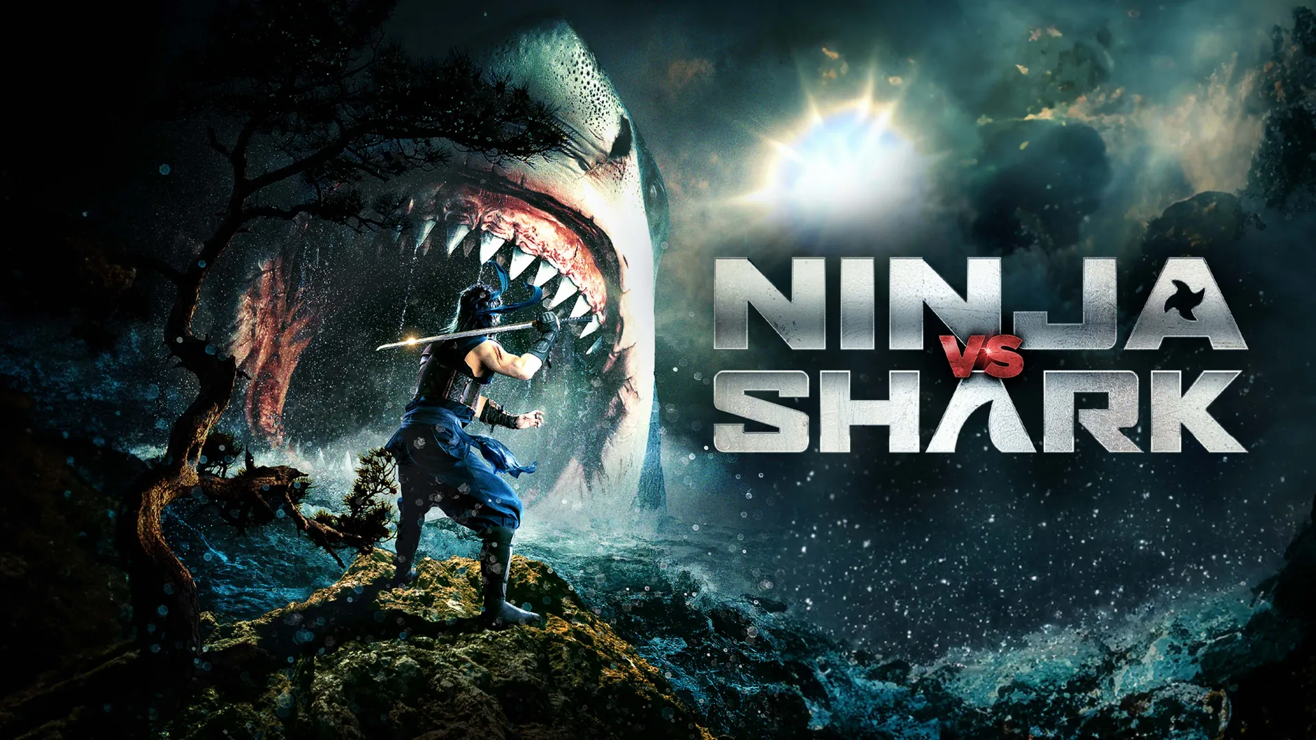 Ninja vs Shark
