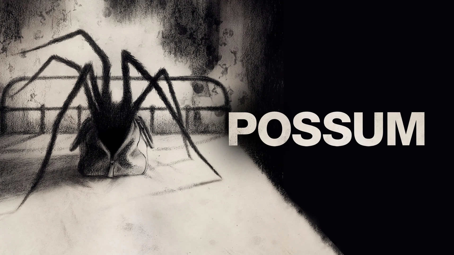 Possum