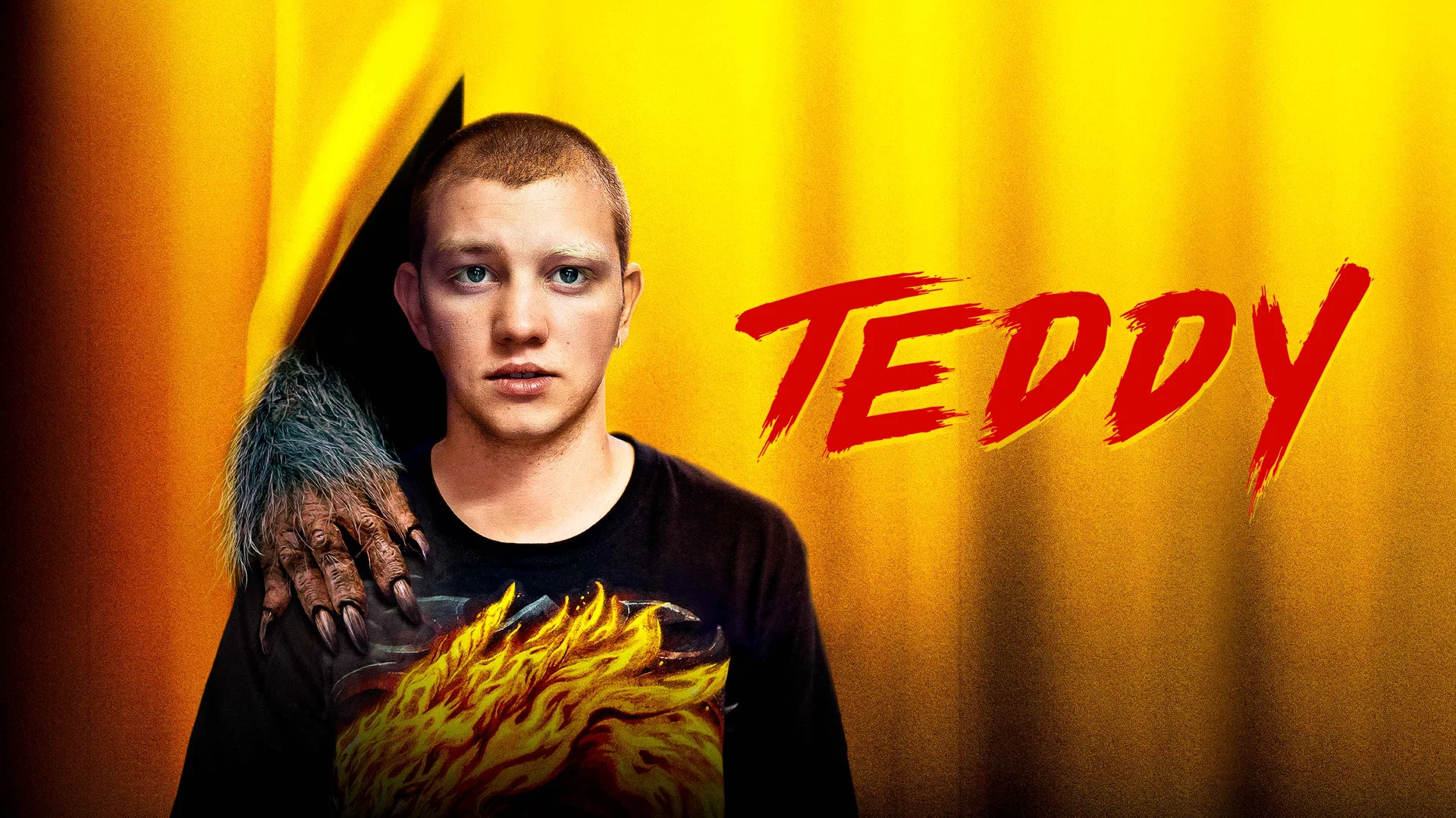 Teddy