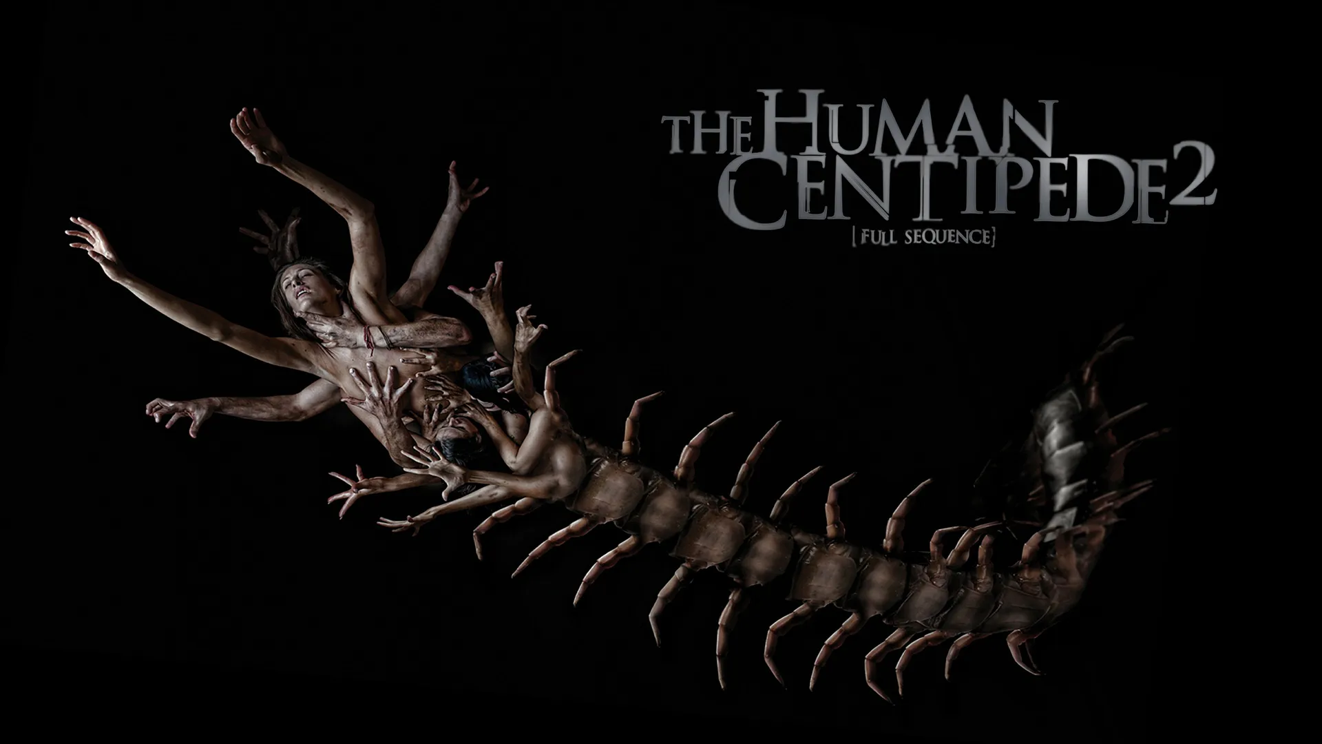 The Human Centipede 2: Full Sequence
