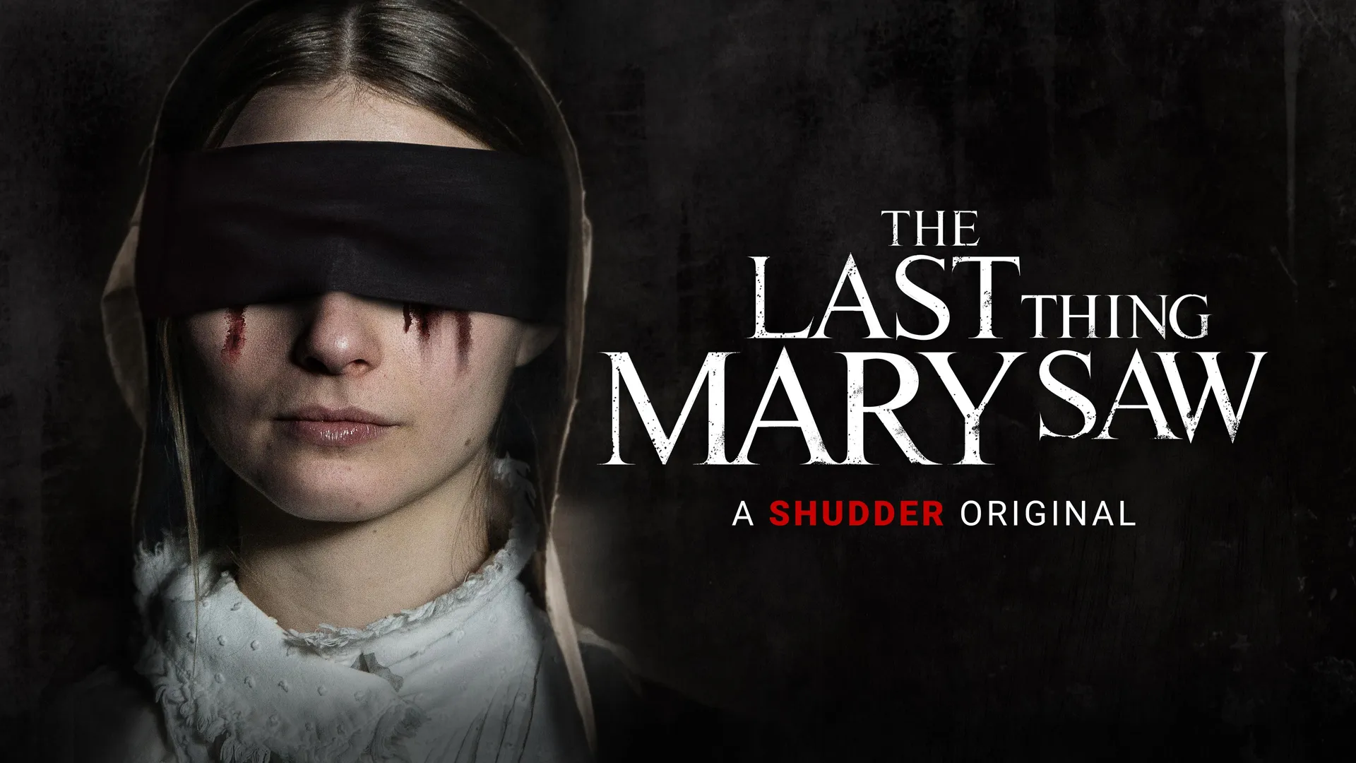 The Last Thing Mary Saw