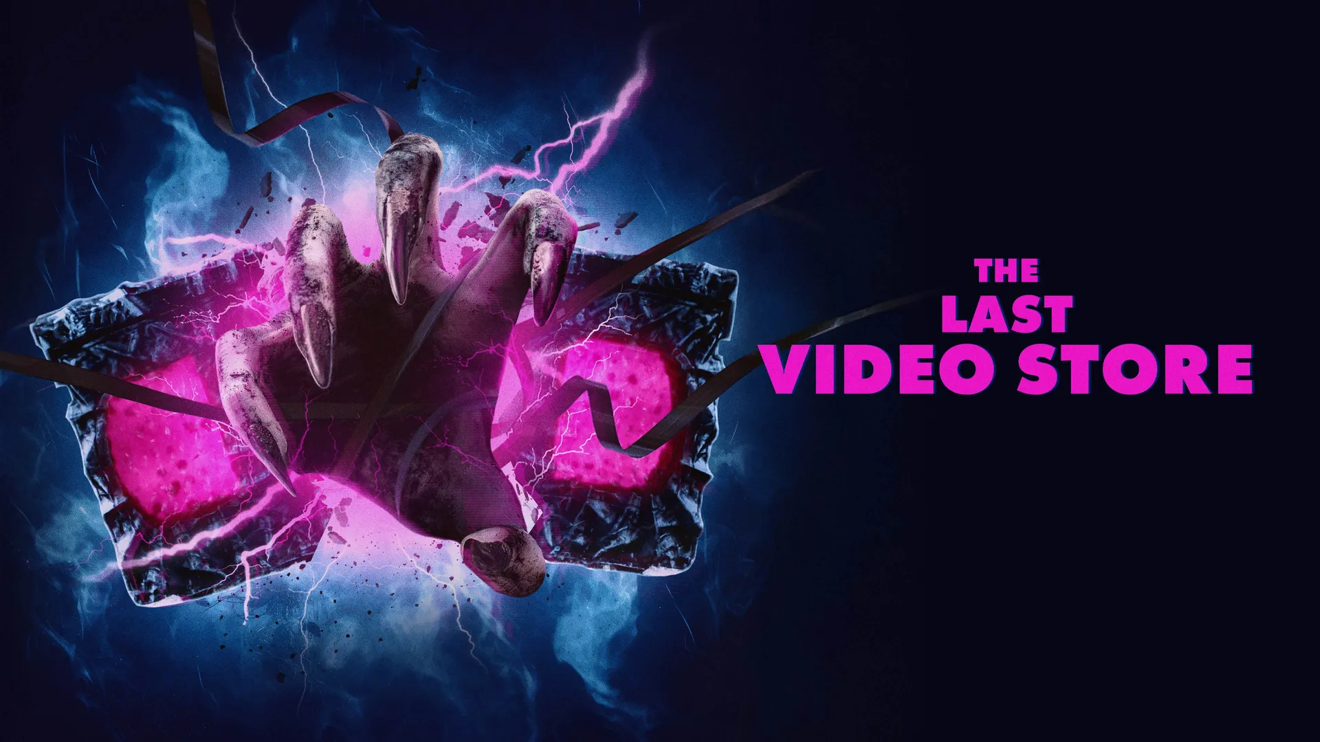 The Last Video Store