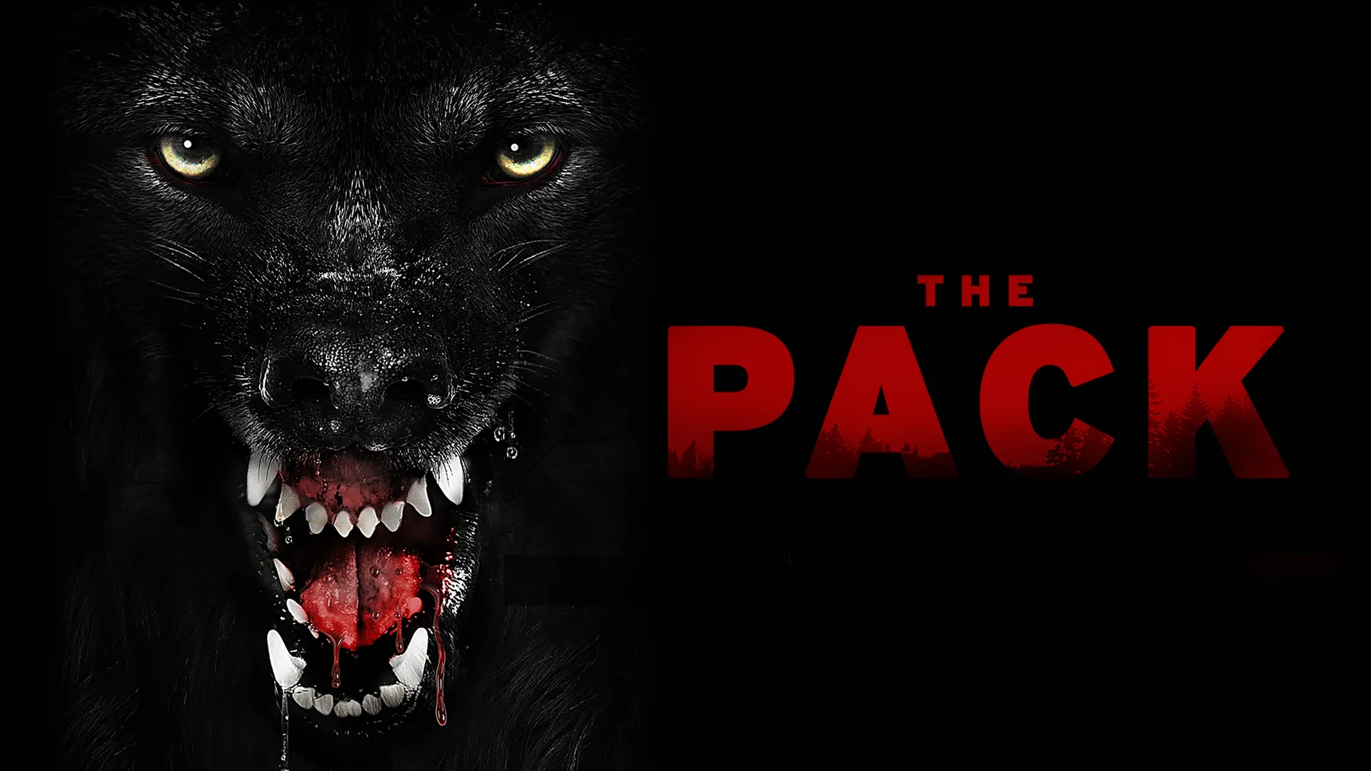 The Pack
