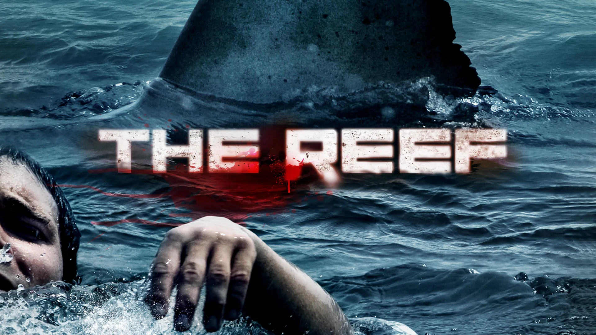 The Reef