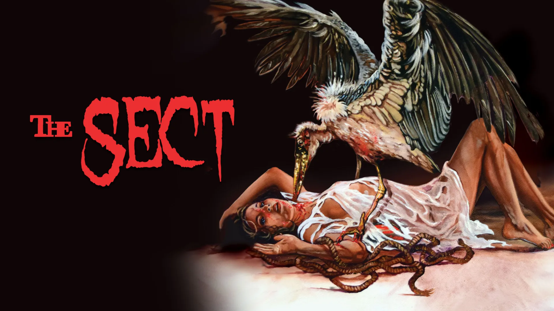 The Sect