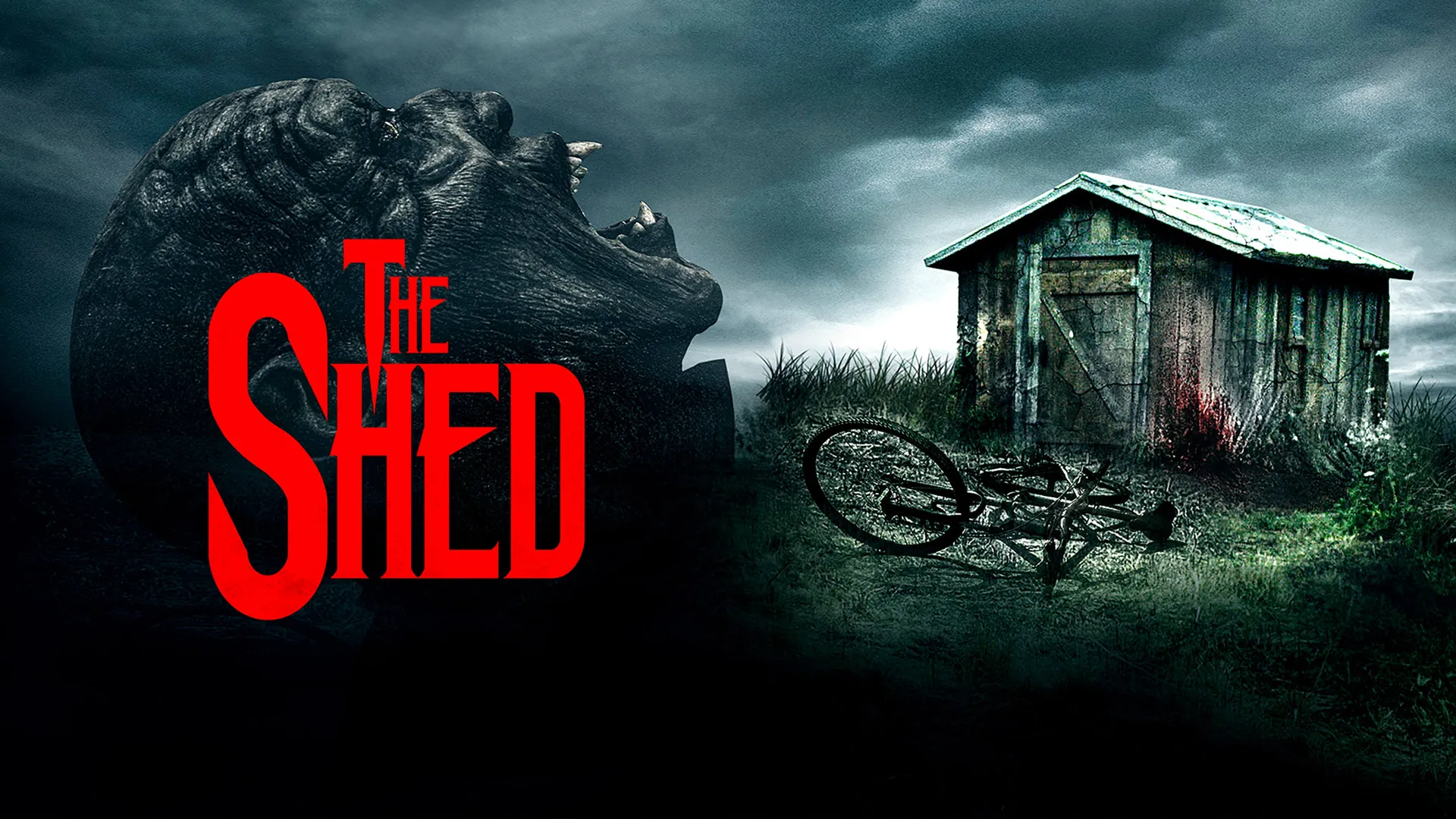 The Shed