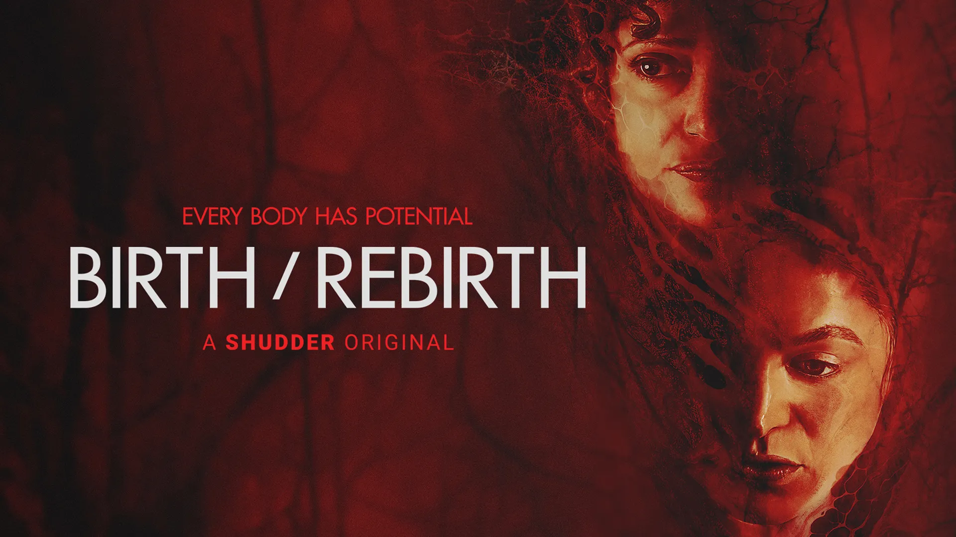birth/rebirth